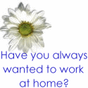 http://www.wahmjobfinder.com/info